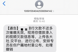 荆门为什么选择专业追讨公司来处理您的债务纠纷？